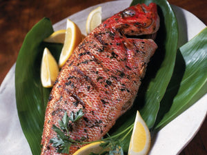Grilled Whole Red Snapper | Coba Grill Hong Kong
