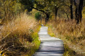 Hiking trails in Hong Kong with barbeque spots along the way!