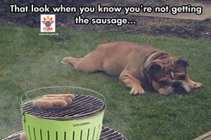 9 reasons why you should buy the LOTUS BBQ GRILL and where you can buy a LOTUS BBQ GRILL